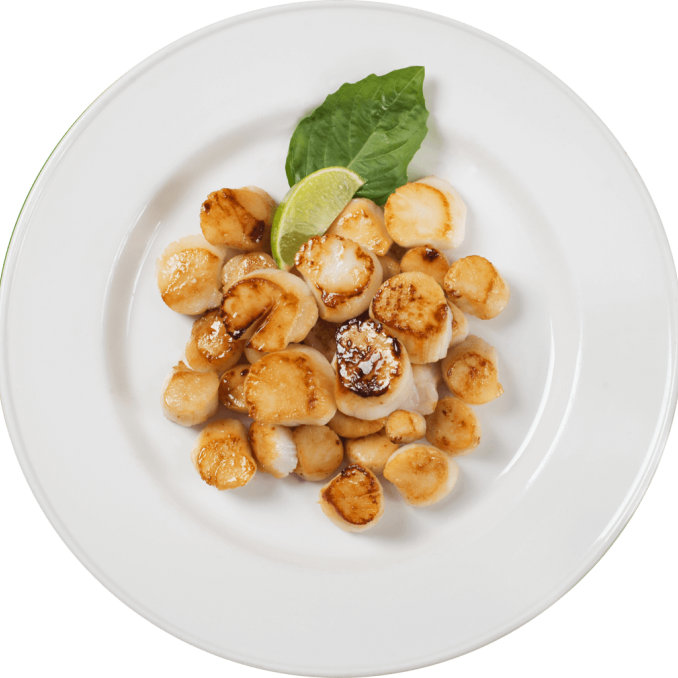 Seafood Scallops
