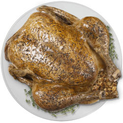 Fresh Turkey 15 - 17 lb.